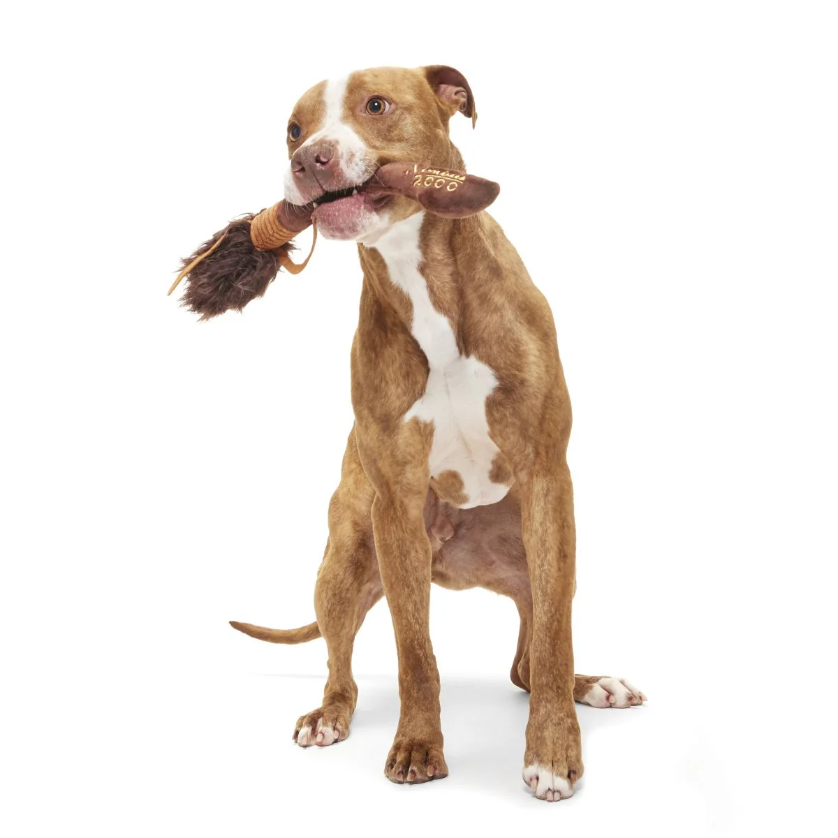 Nimbus 2000™ Broomstick Plush Tug Dog Toy - Image 4