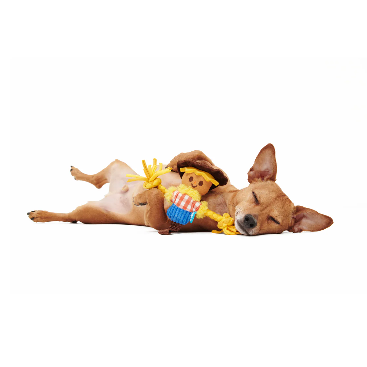 Not Scary Harry Plush Tug Dog Toy - Image 3