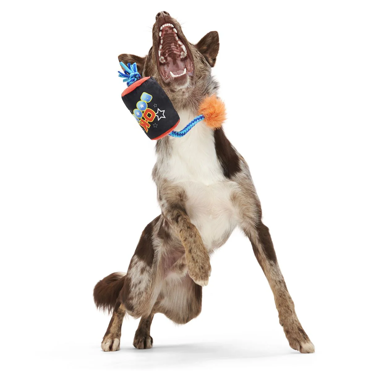 O-K Boomer Plush Tug Dog Toy - Image 3