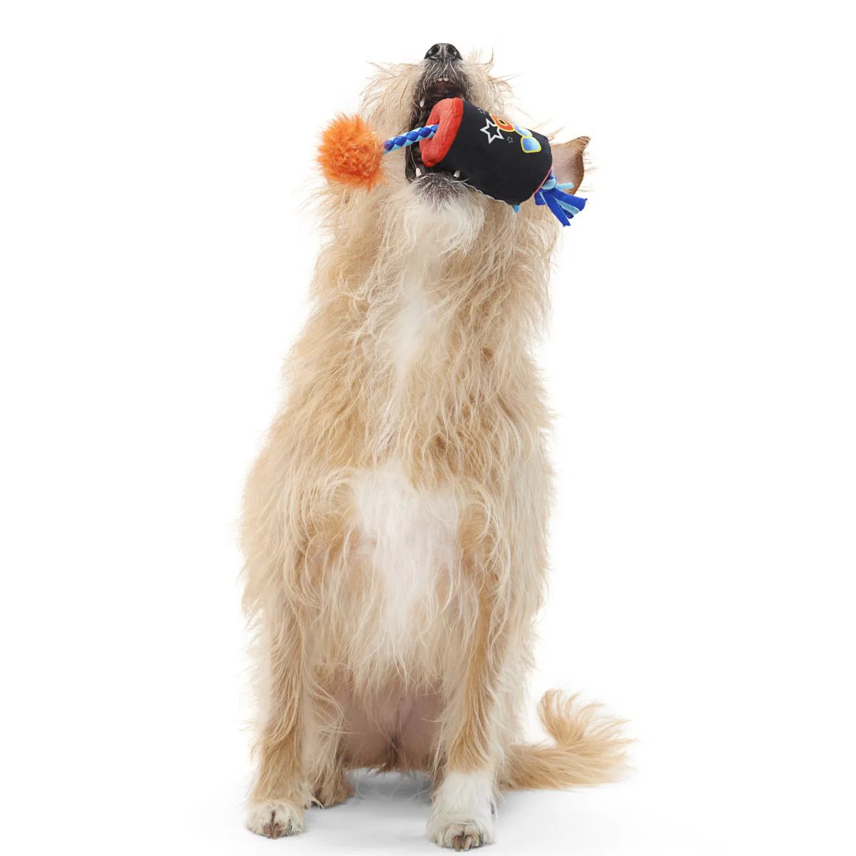 O-K Boomer Plush Tug Dog Toy - Image 4