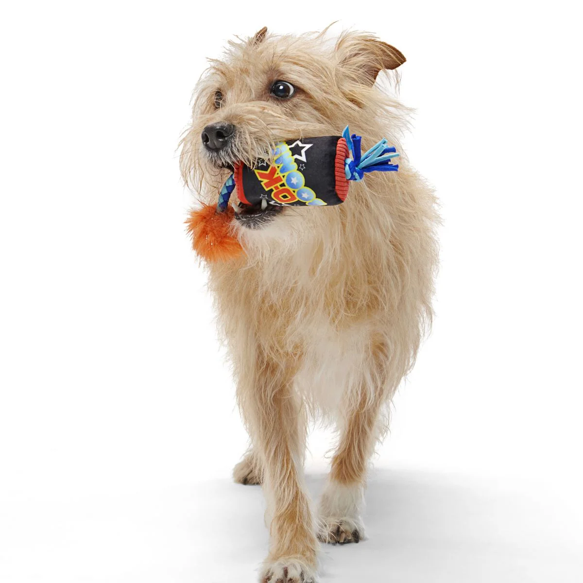 O-K Boomer Plush Tug Dog Toy - Image 5