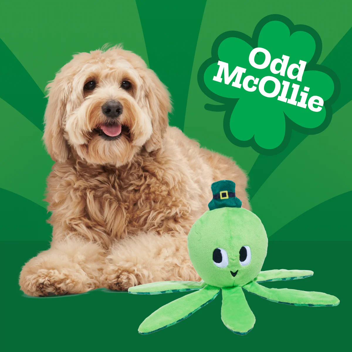 Odd McOllie - Image 6