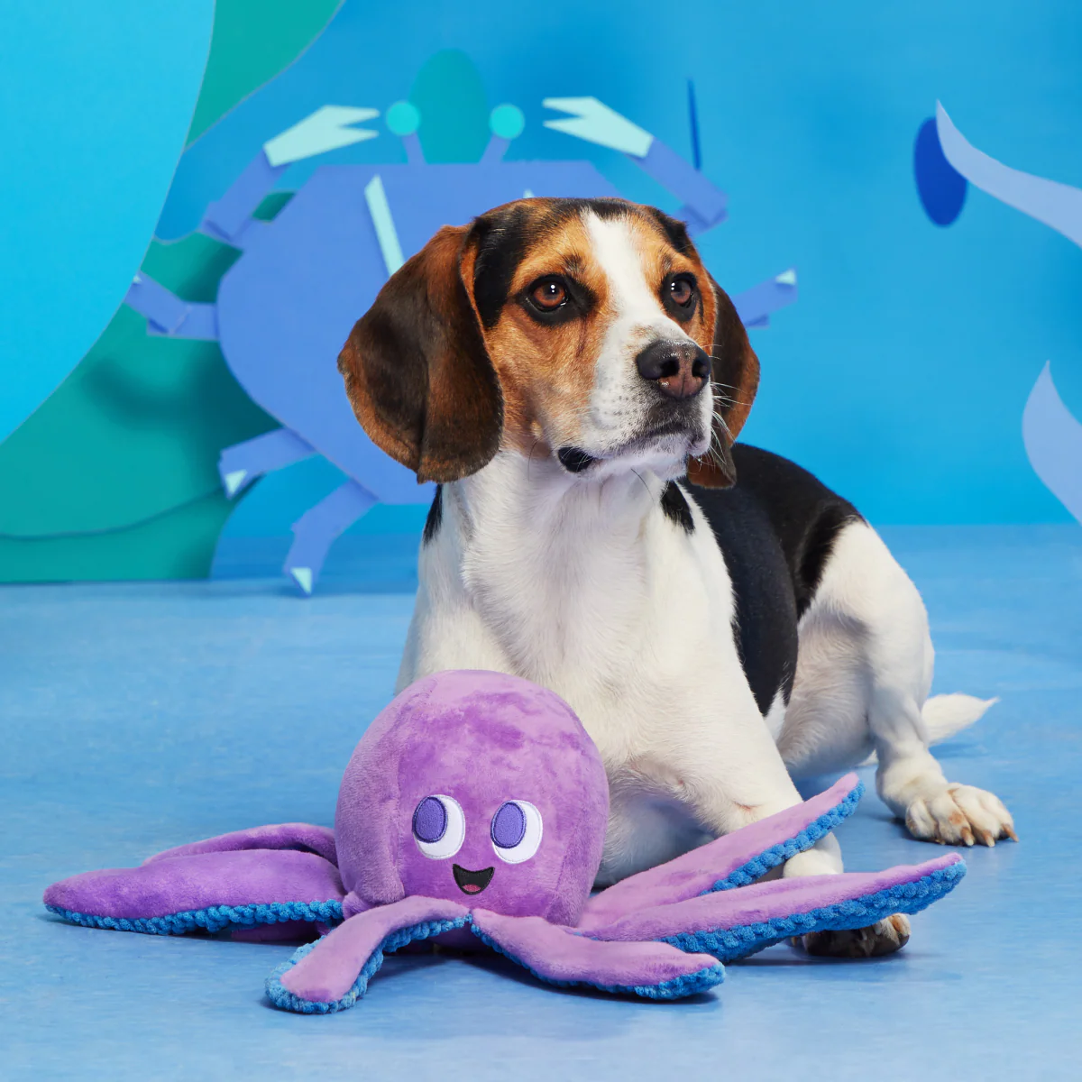 Ollie the Octopus Club, Plush Tug Monthly Dog Toys - Image 3