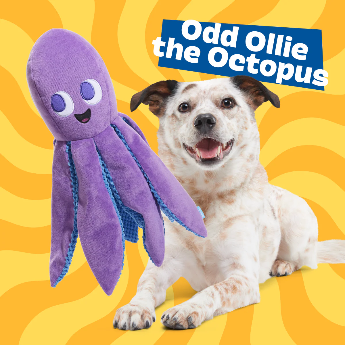 Ollie the Octopus Club, Plush Tug Monthly Dog Toys - Image 4
