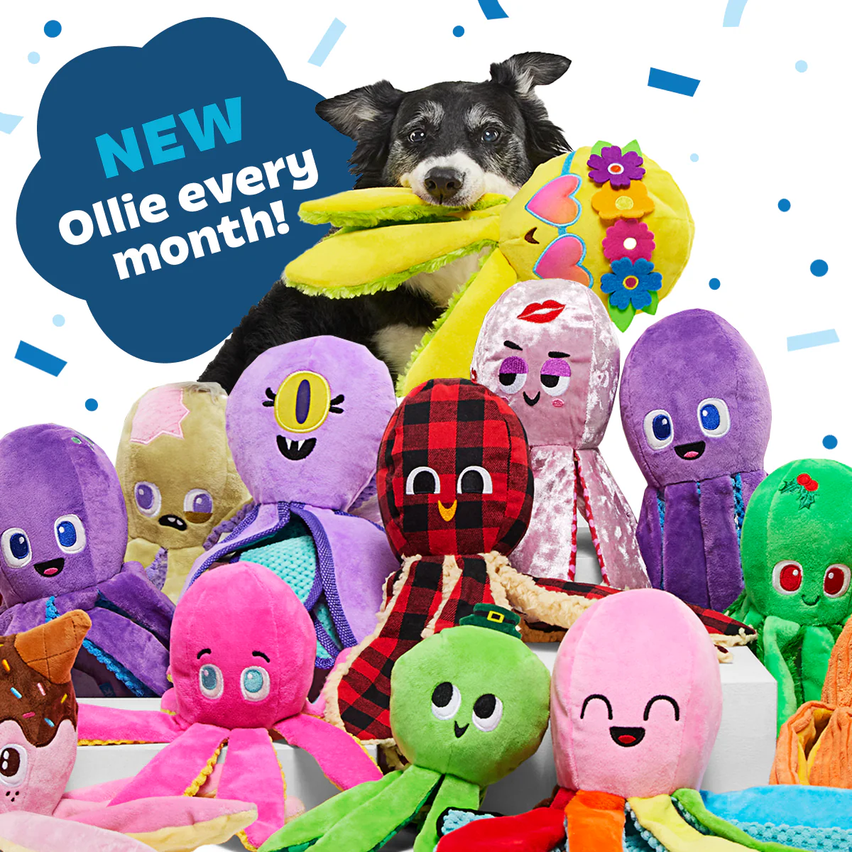 Ollie the Octopus Club, Plush Tug Monthly Dog Toys - Image 6