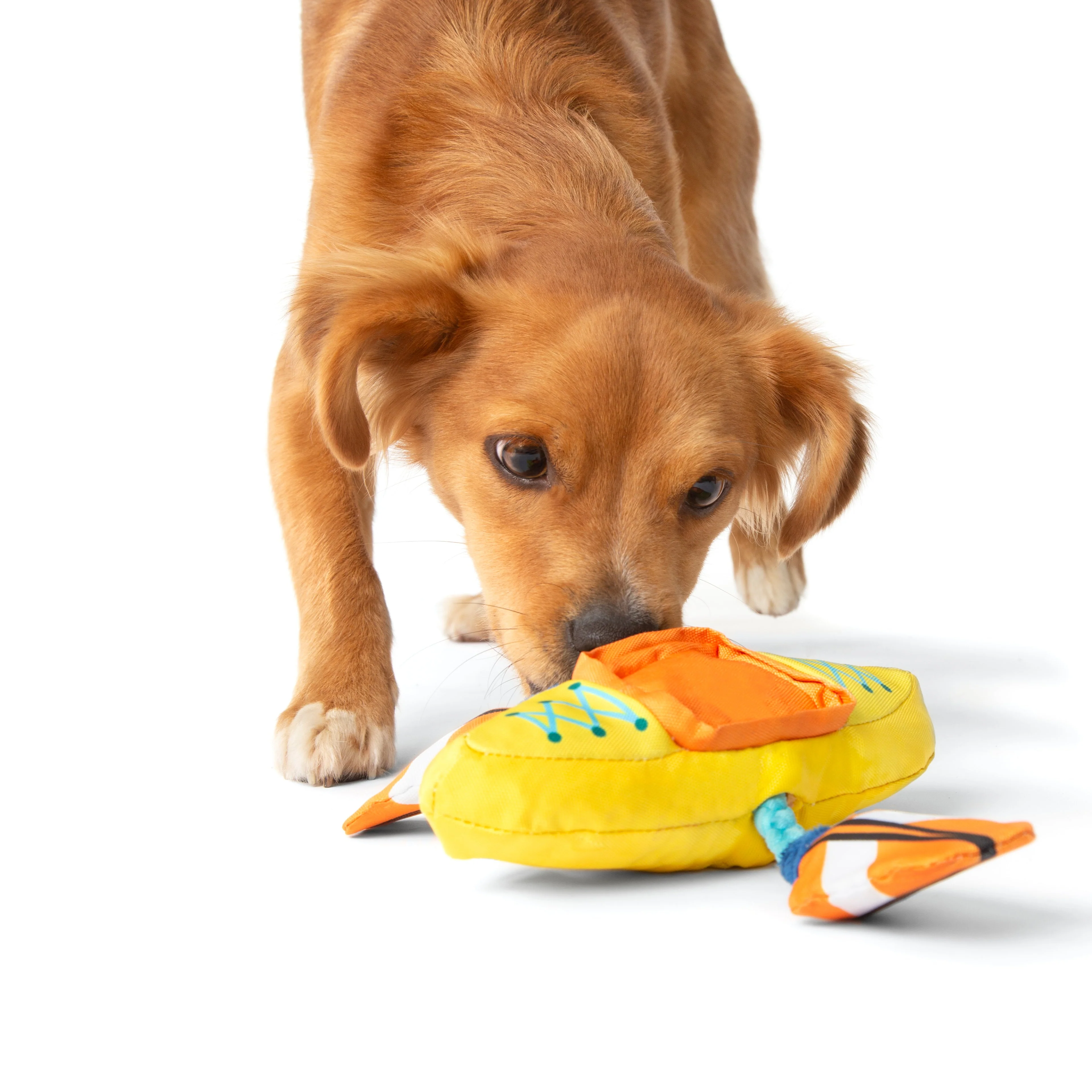 Off Track Kayak Plush Tug Dog Toy - Image 5