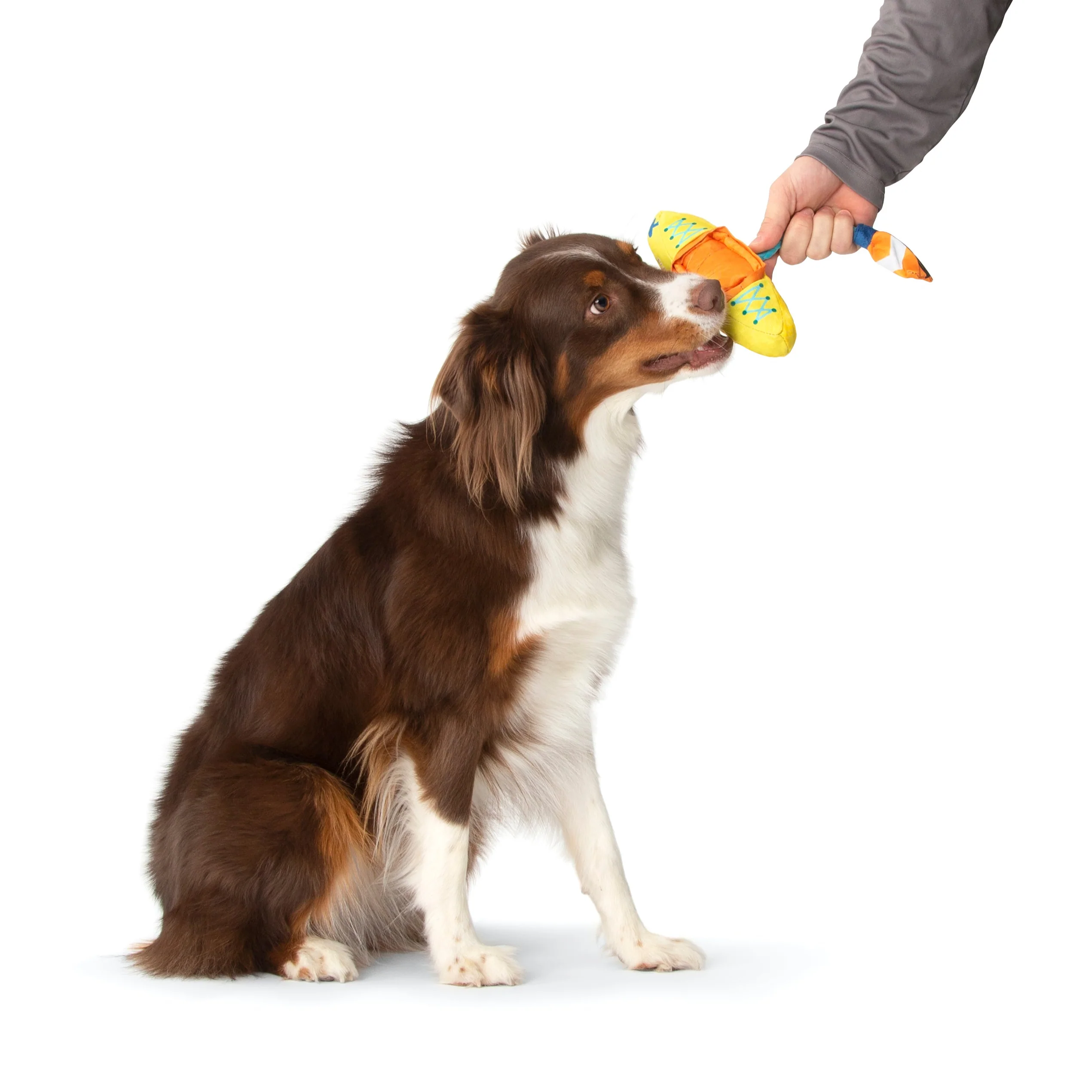 Off Track Kayak Plush Tug Dog Toy - Image 6