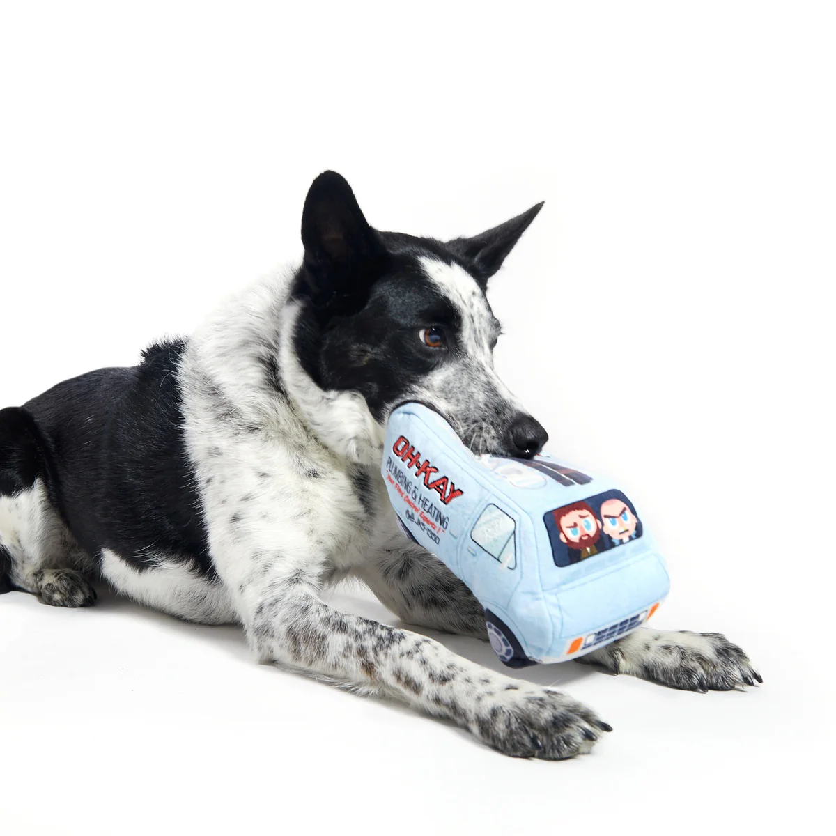 Oh-Kay Christmutts Van - Image 7