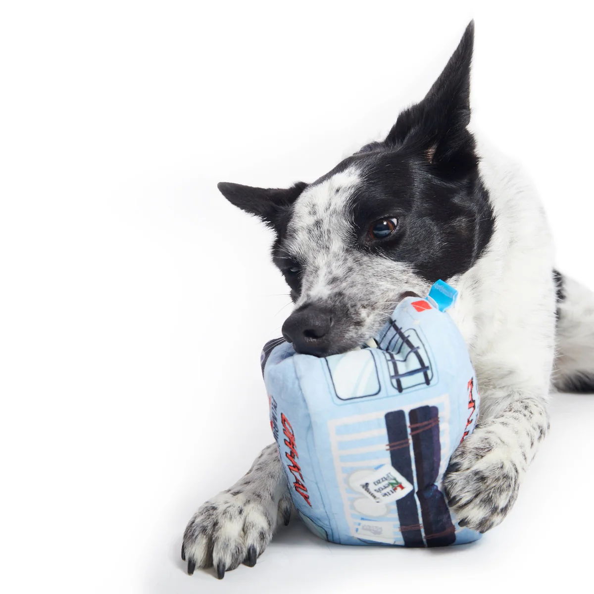 Oh-Kay Christmutts Van - Image 8