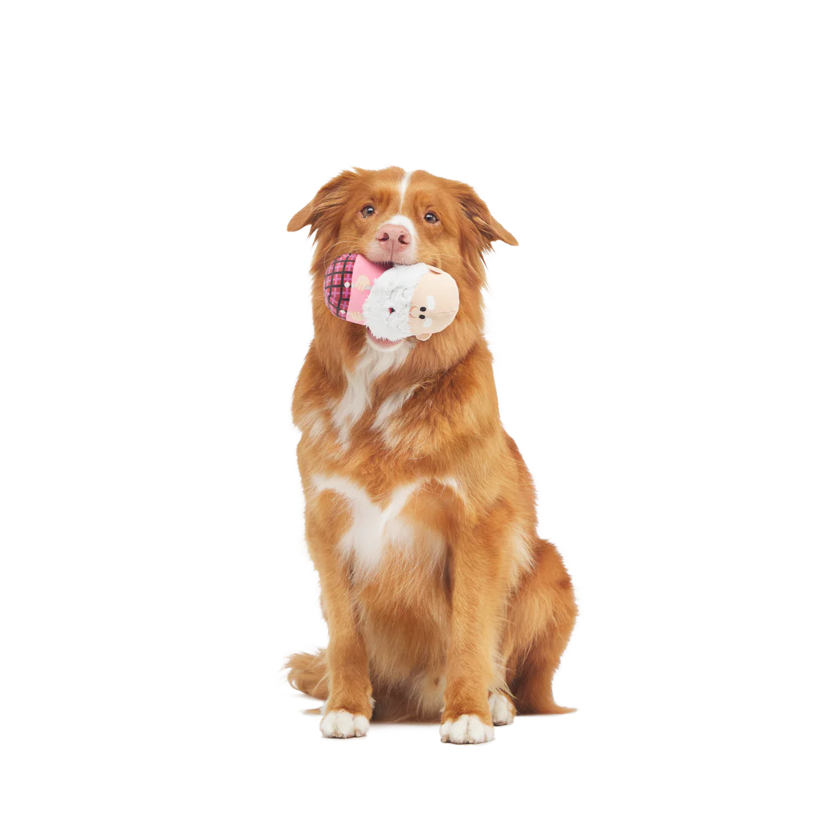 Ol' Kris Kringle™ Plush Multi-Part Dog Toy - Image 4