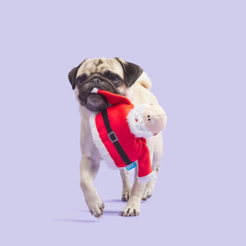 Ol' Kris Kringle™ Plush Multi-Part Dog Toy - Image 6