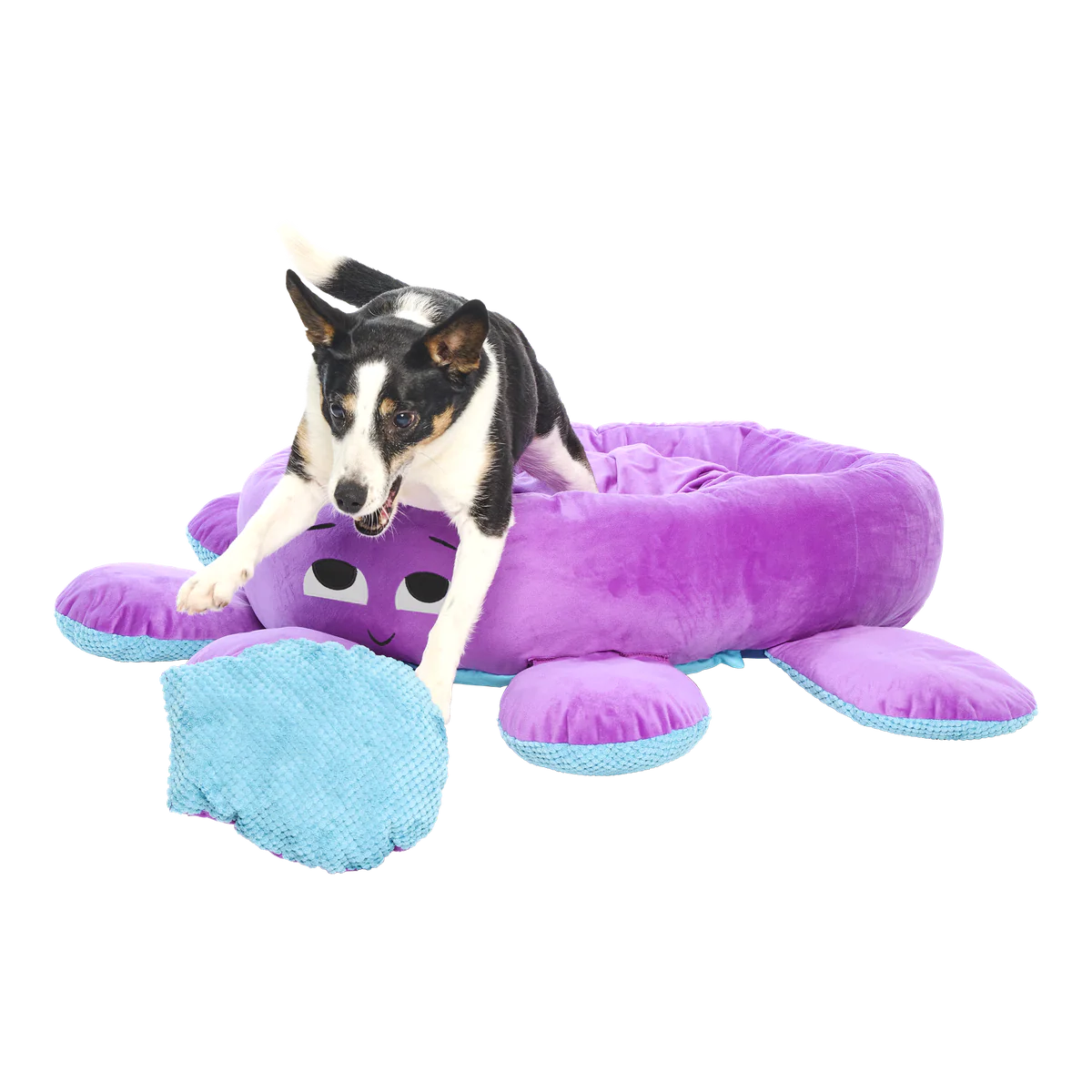 Ollie the Octopus Dog Bed - Image 2