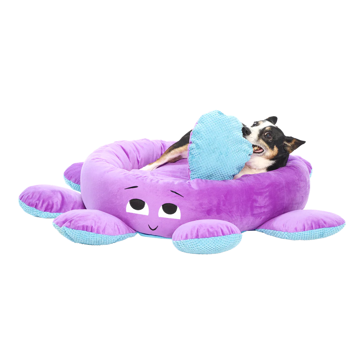 Ollie the Octopus Dog Bed - Image 3