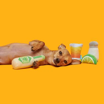 One Tugquila Chew Tugquila Plush Multi-Part Dog Toy - Image 3