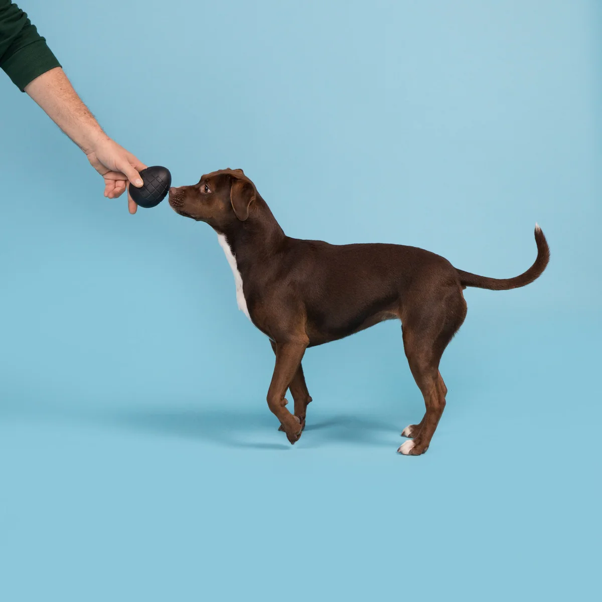 Origin Super Chewer Durable Fetch Dog Toy - Image 4