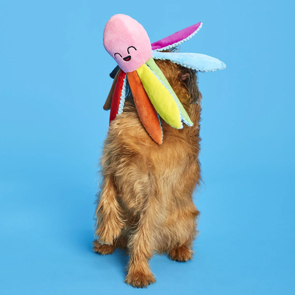 Out Ollie the Octopus Plush Tug Dog Toy - Image 2