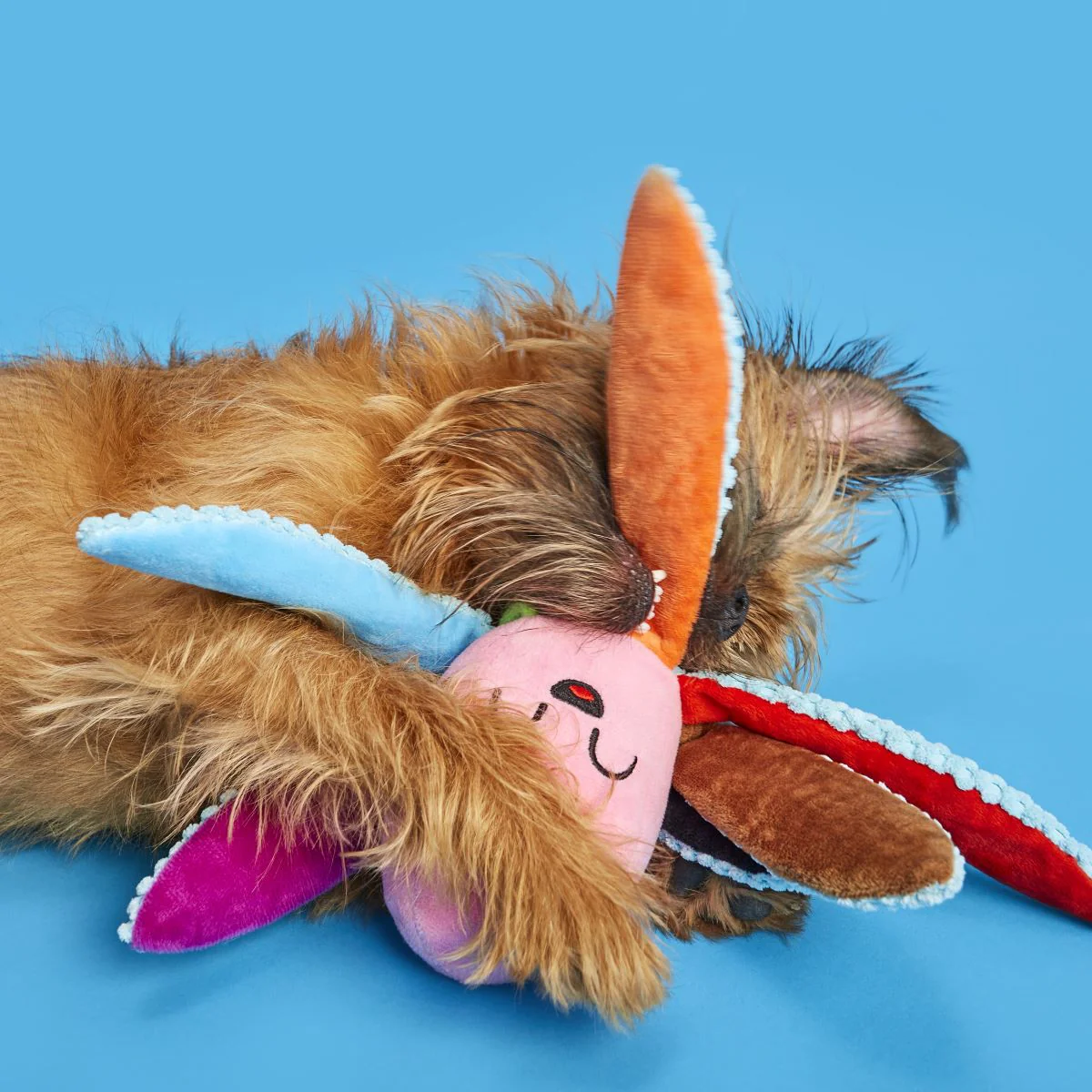 Out Ollie the Octopus Plush Tug Dog Toy - Image 3