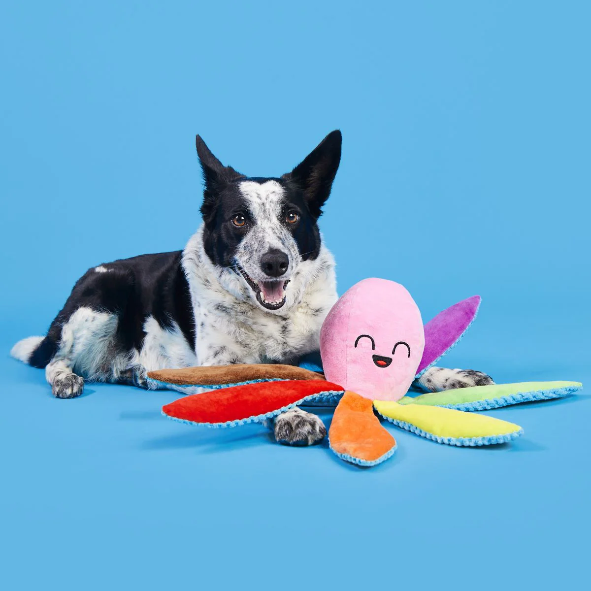 Out Ollie the Octopus Plush Tug Dog Toy - Image 4