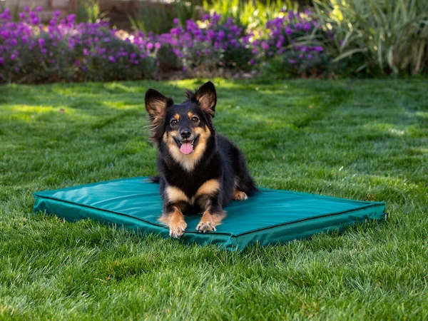 Outdoor Dog Bed - Image 2