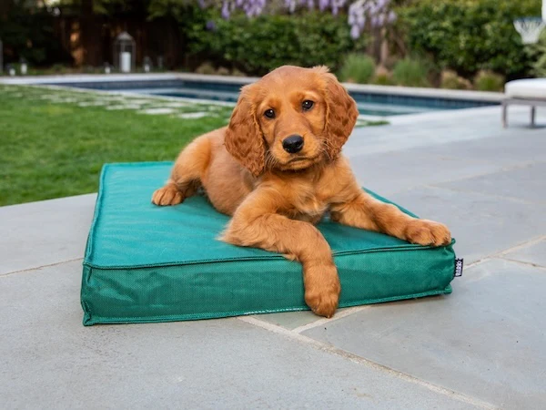 Outdoor Dog Bed - Image 3