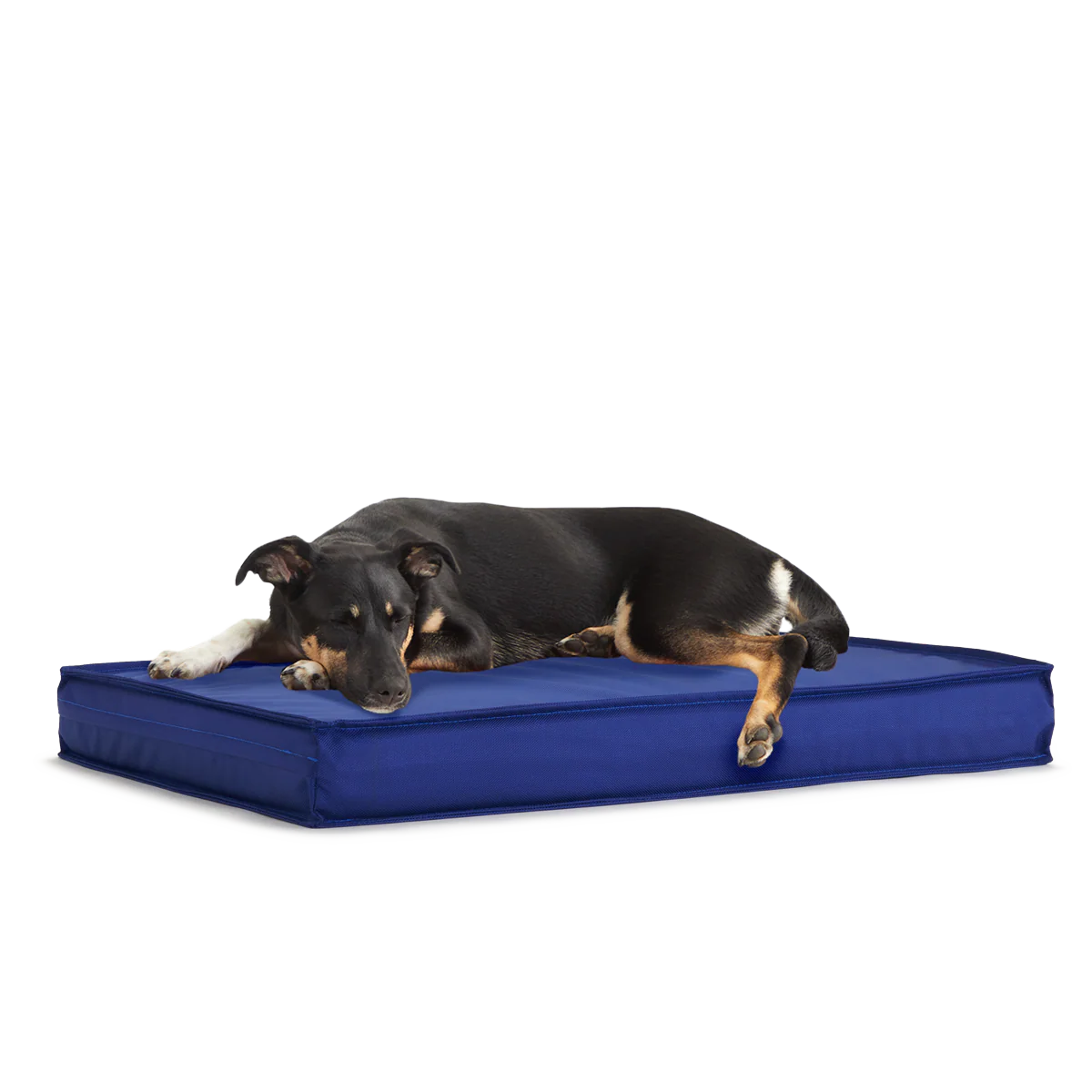 Outdoor Dog Bed - Image 7