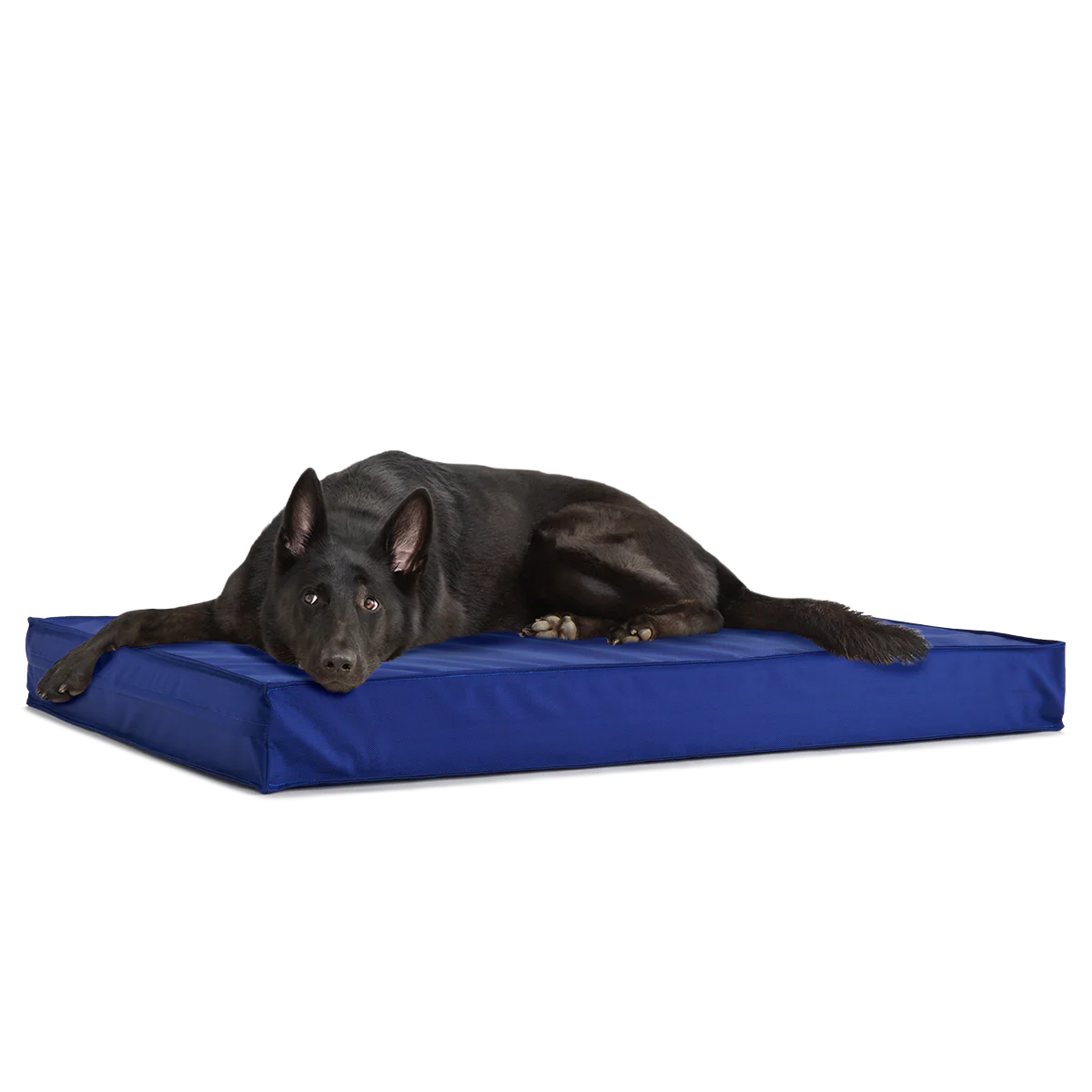 Outdoor Dog Bed - Image 9