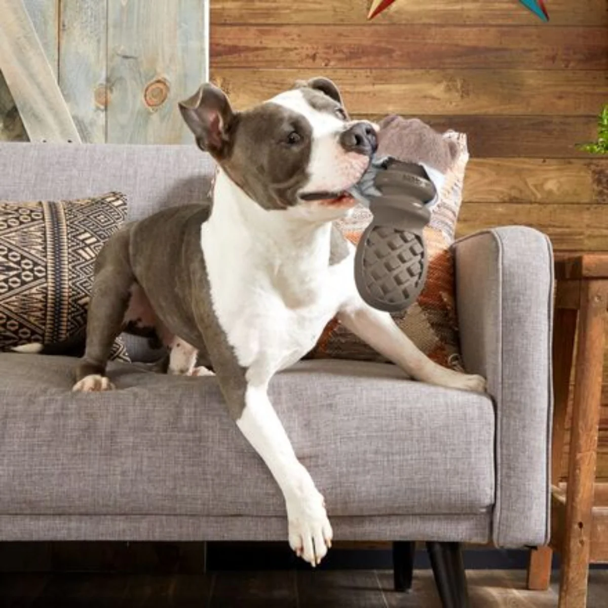 P.B. Beaver Durable Super Chewer 2-in-1 Rip and Reveal Dog Toy - Image 3