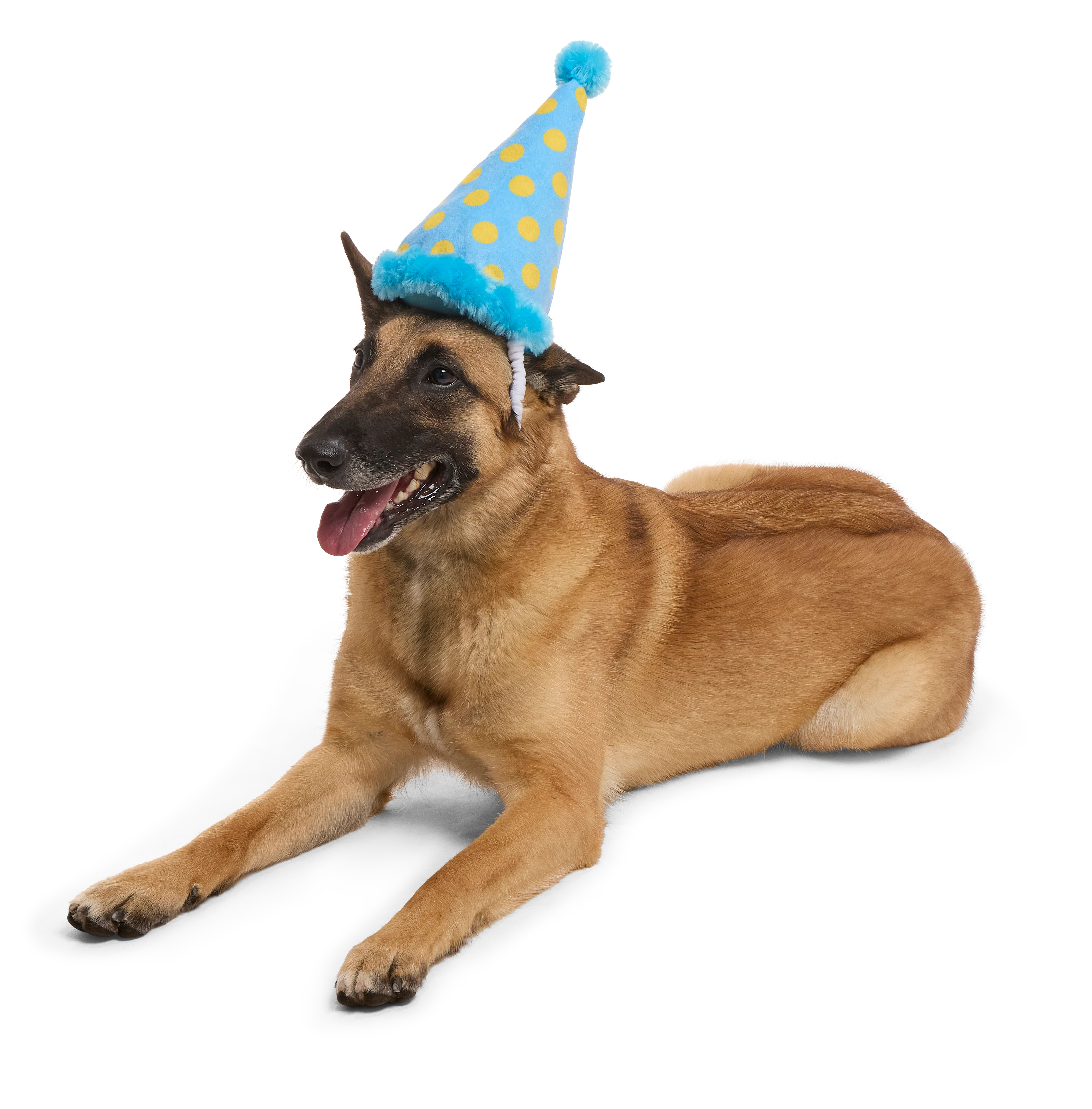 Party Hat Plush Wearable Dog Toy - Image 4
