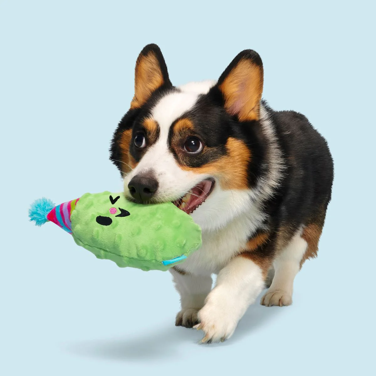 Party Pickle Pedro Tug Dog Toy - Image 3