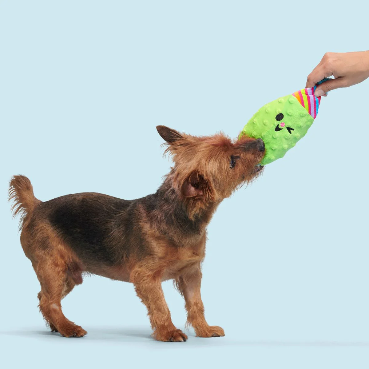 Party Pickle Pedro Tug Dog Toy - Image 4