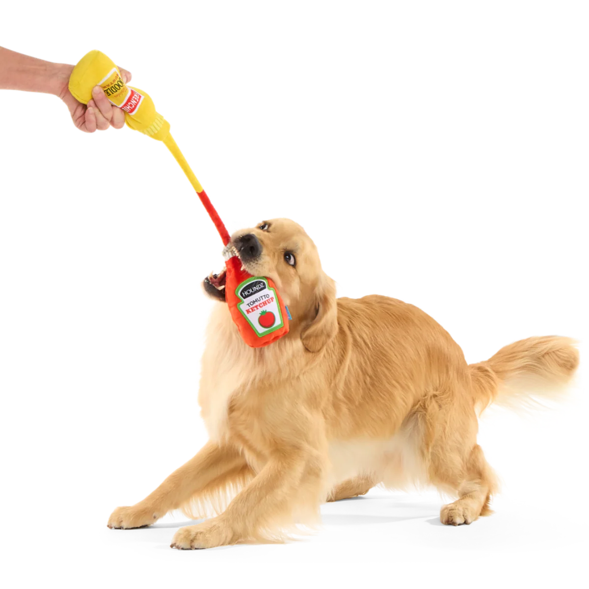 Pass The Condimutts Plush Tug Dog Toy - Image 3