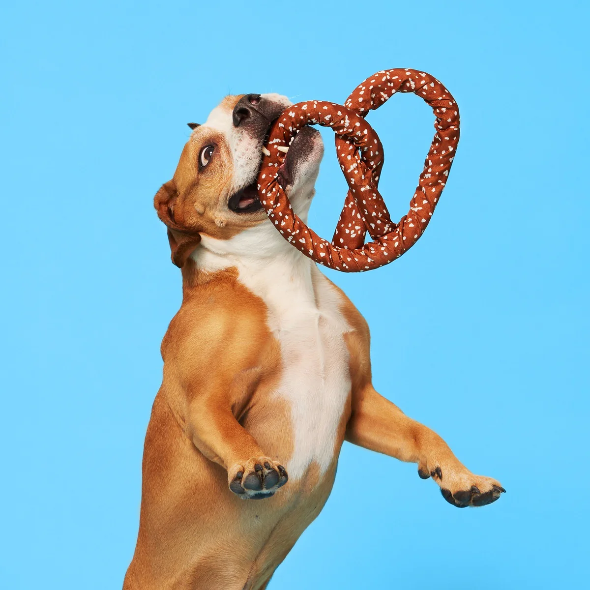 Pepper's Pretzel Plush Tug Dog Toy - Image 3