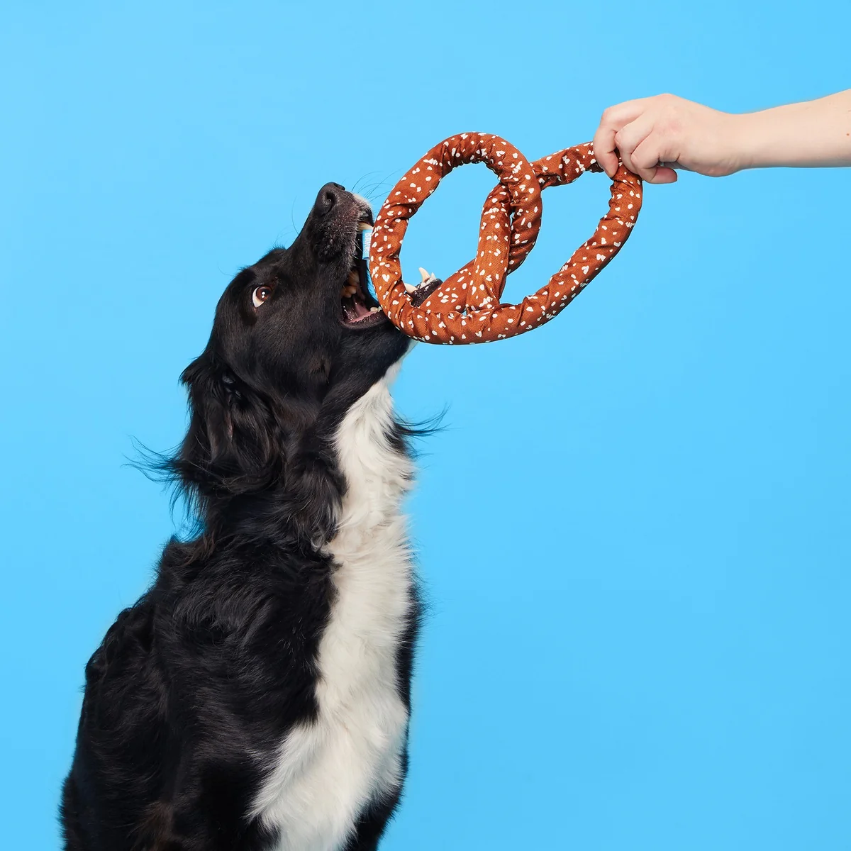 Pepper's Pretzel Plush Tug Dog Toy - Image 4