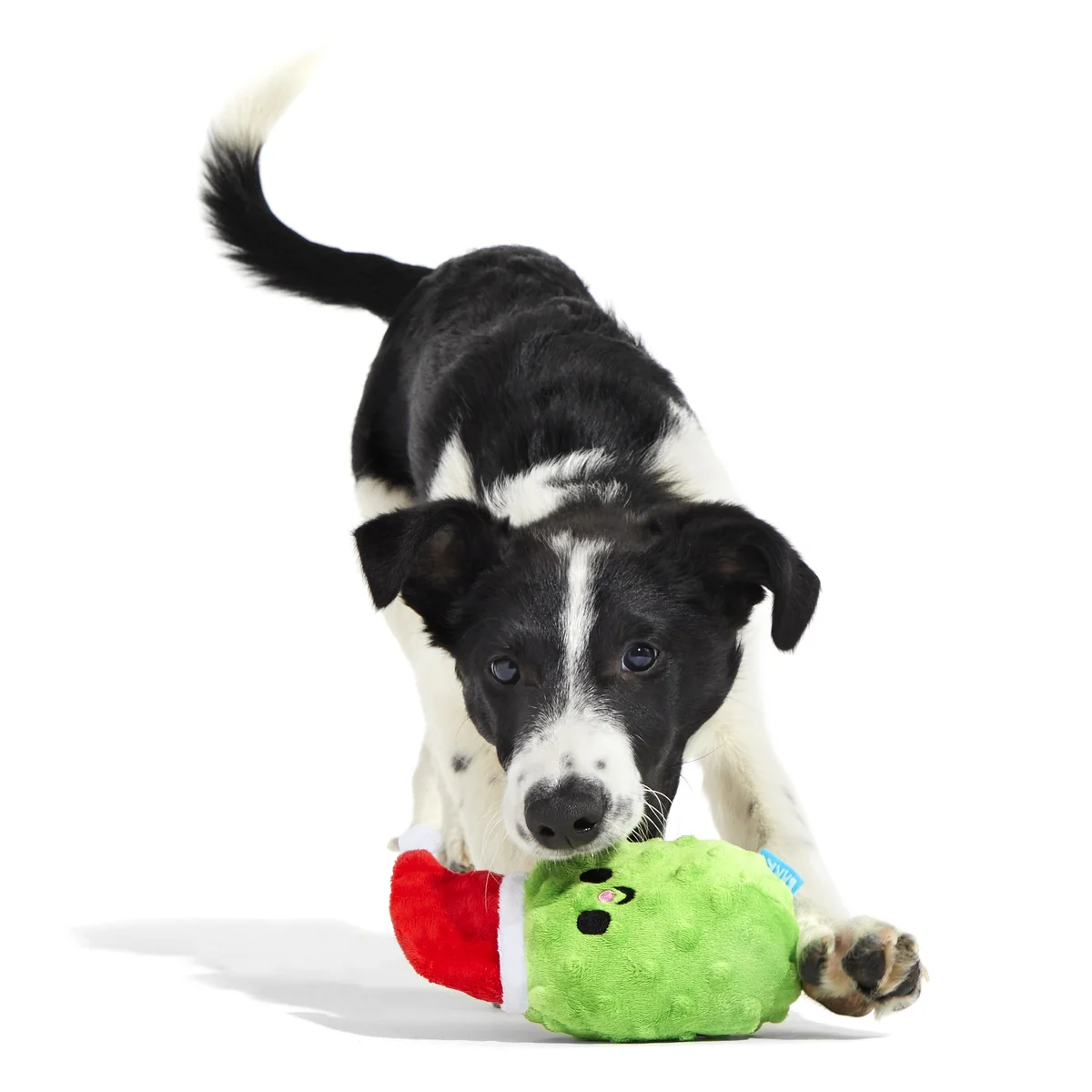 Pickle Claus Plush Tug Dog Toy - Image 4