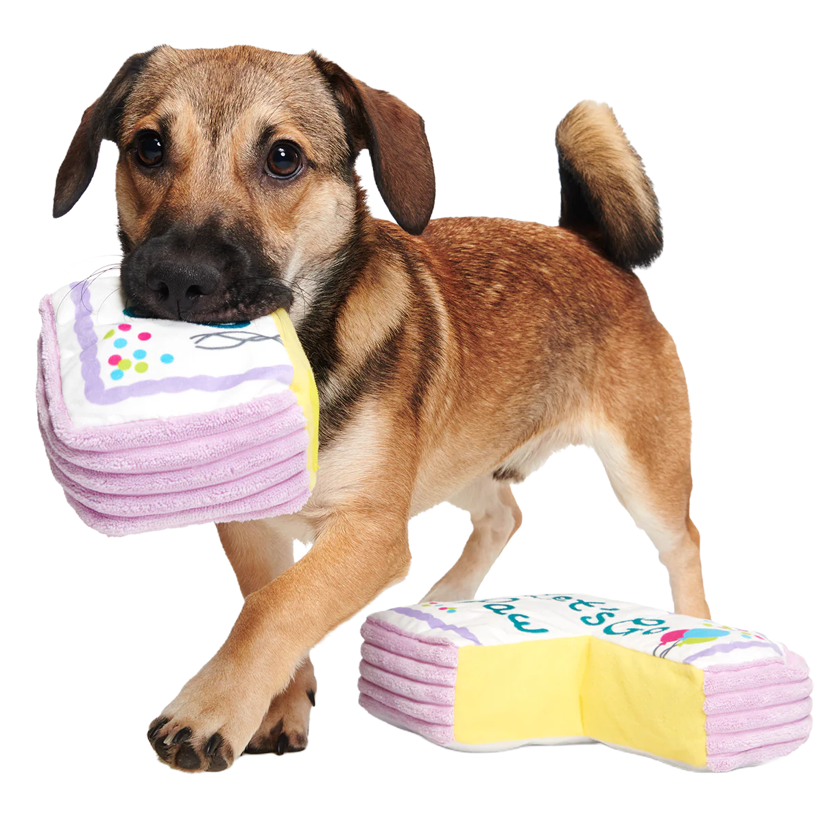 Piece Of Sheet Cake Plush Multi-Part Dog Toy - Image 3