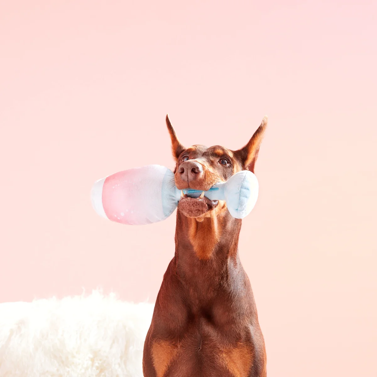 Pink Chompagne Plush Tug Dog Toy - Image 3