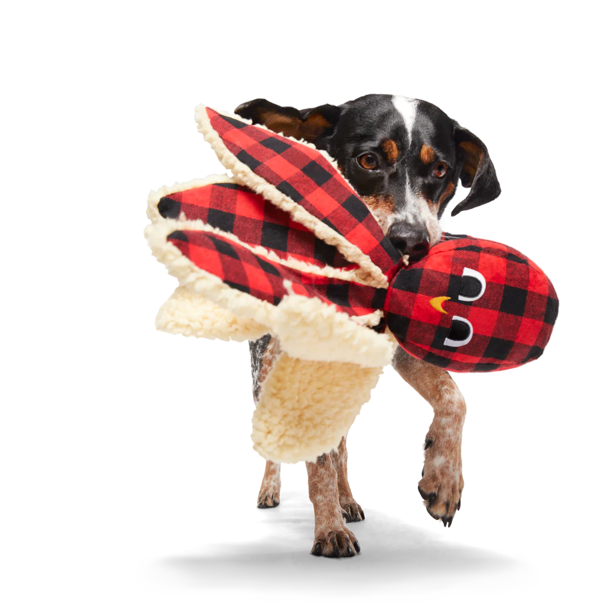 Plaid Ollie the Octopus Whip-n-Flip Plush Tug Dog Toy - Image 3