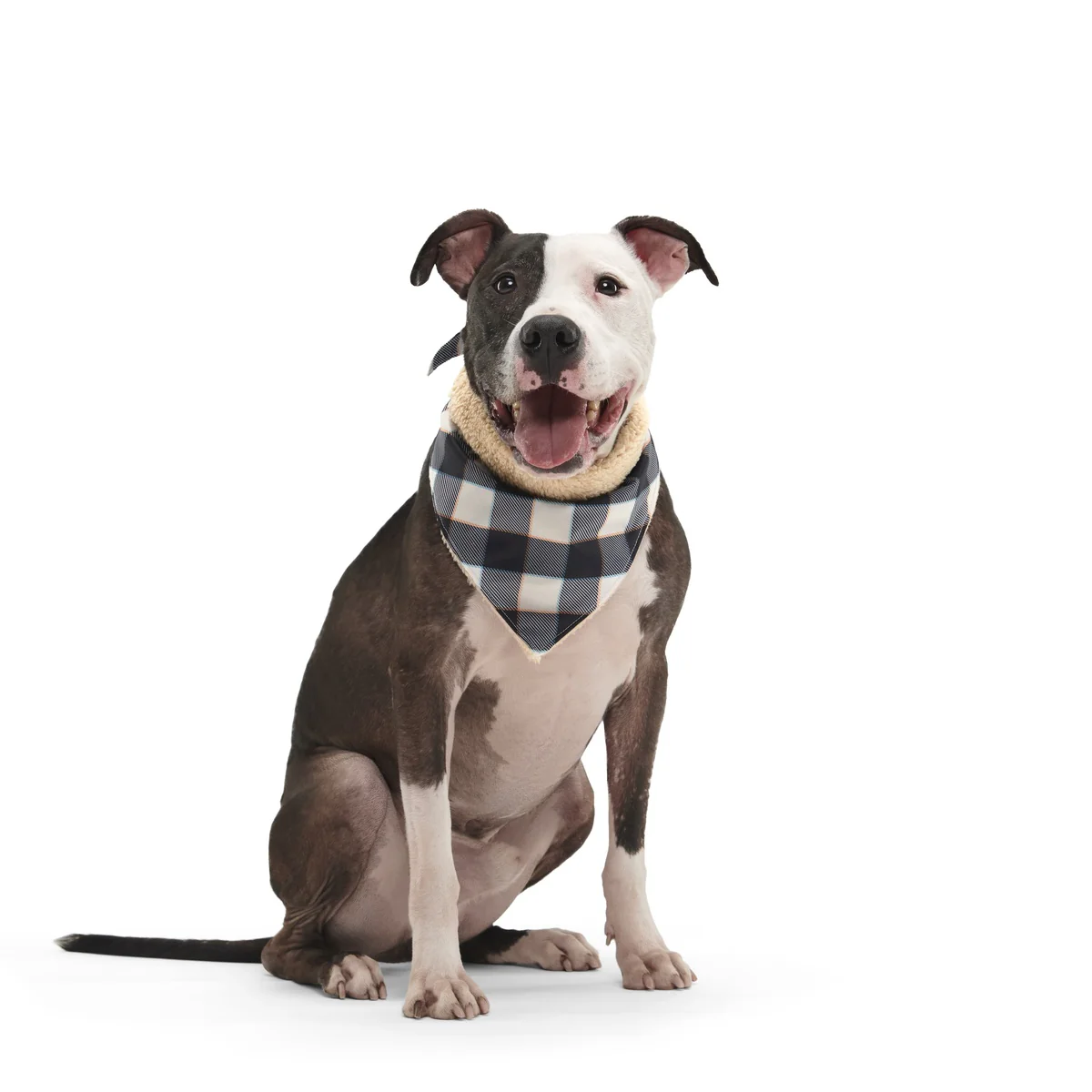 Plaid To The Bone Dog Bandana - Image 5
