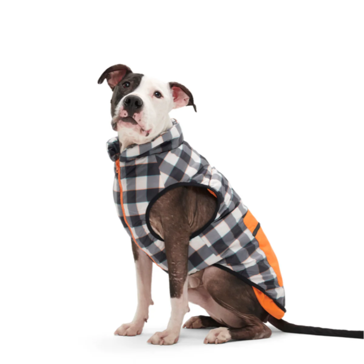 Plaid To The Bone Dog Puffer Vest - Image 5