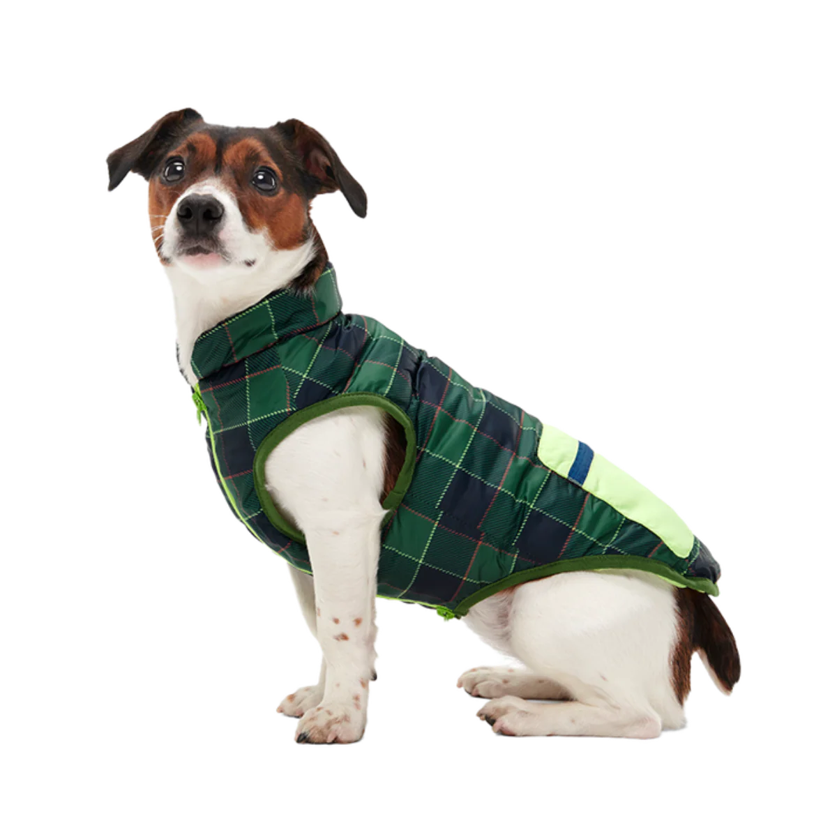 Plaid To The Bone Dog Puffer Vest - Image 6