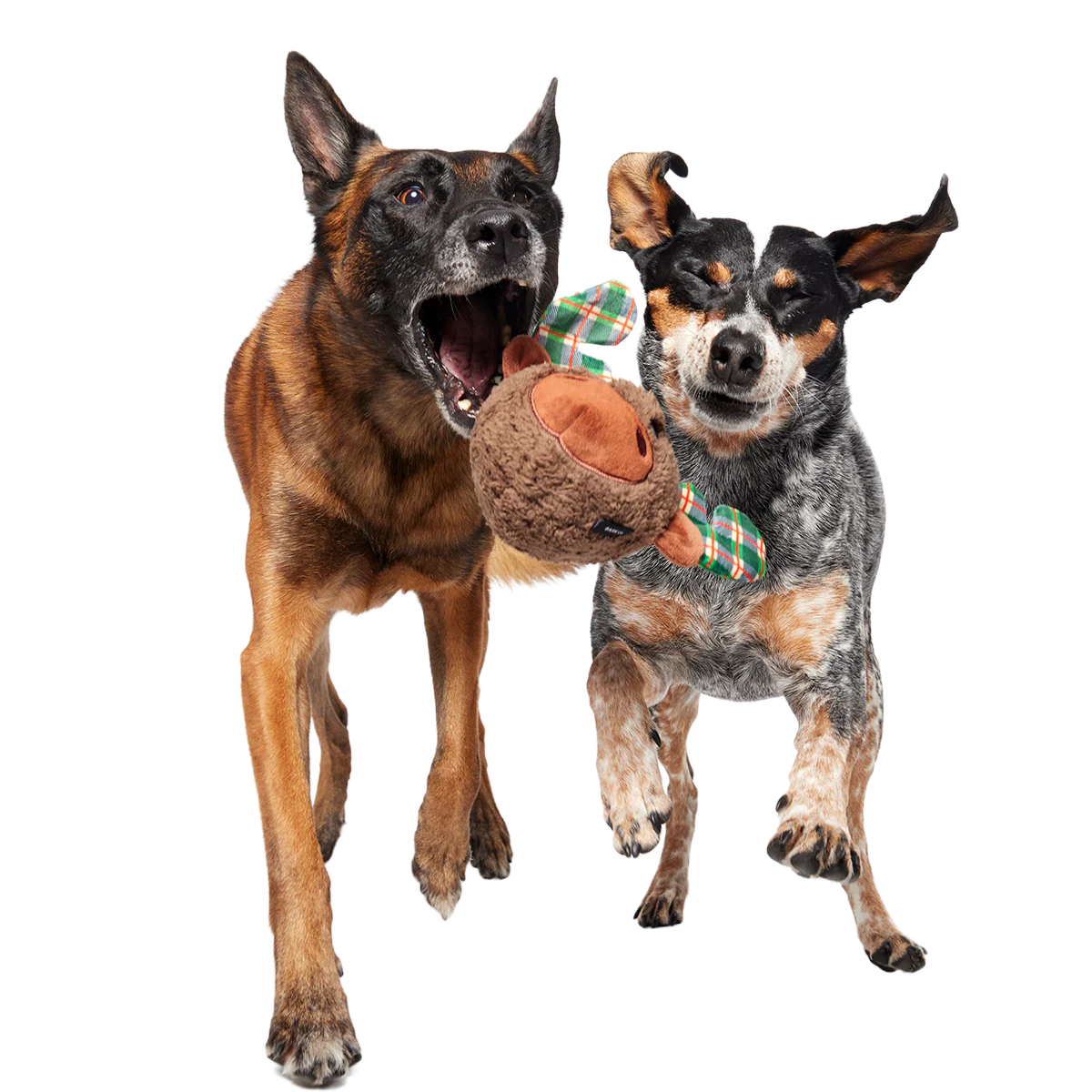 Plaidamoose Super Chewer Durable 2-in-1 + Fetch Dog Toy - Image 4