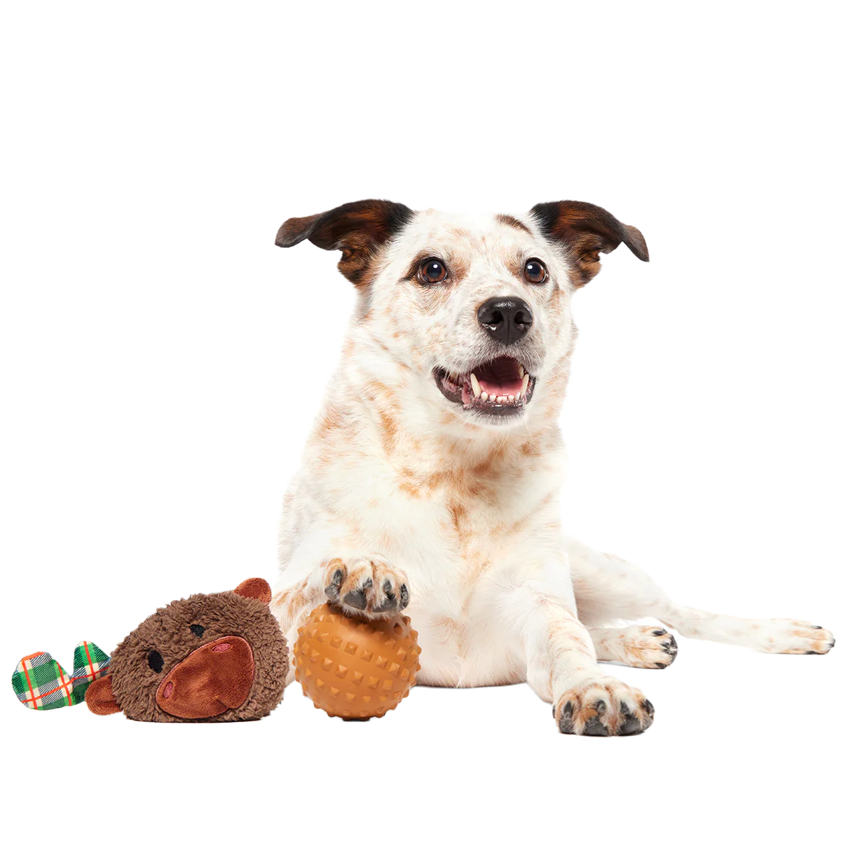 Plaidamoose Super Chewer Durable 2-in-1 + Fetch Dog Toy - Image 5