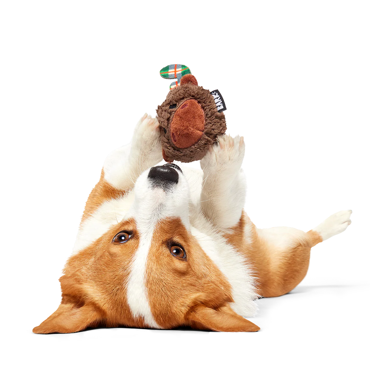 Plaidamoose Super Chewer Durable 2-in-1 + Fetch Dog Toy - Image 7