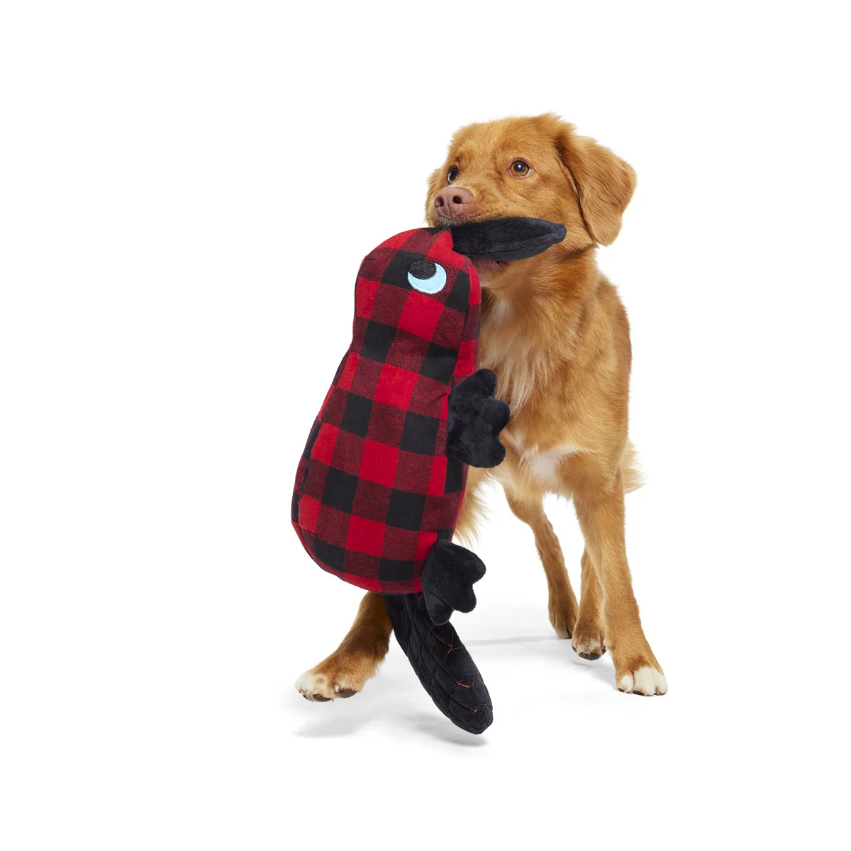 Plaidypus Plush XXL Dog Toy - Image 3