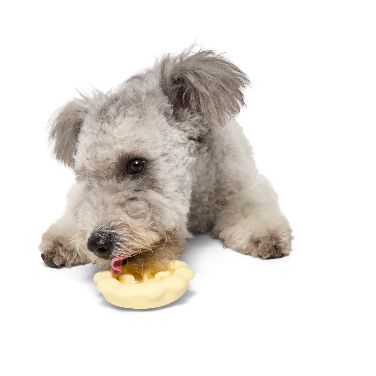 Plump Pumpkin Pie Durable Super Chewer Enrichment Dog Toy - Image 2
