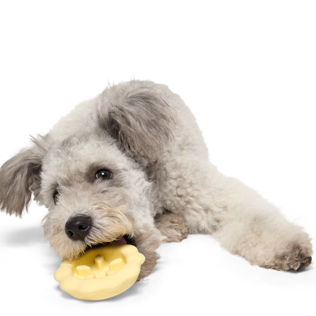 Plump Pumpkin Pie Durable Super Chewer Enrichment Dog Toy - Image 4