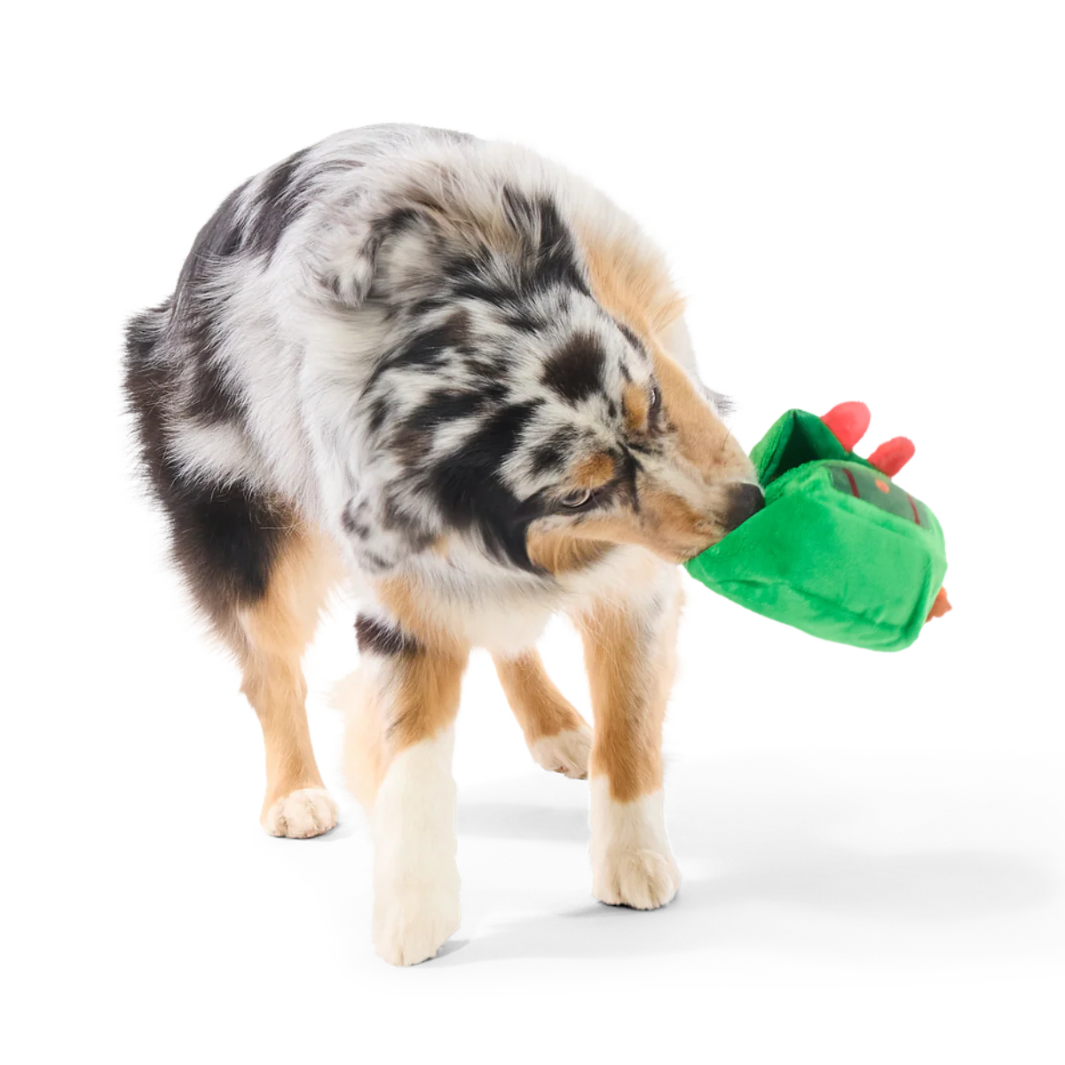 PNW Barkpack Plush Multi-Part + Enrichment Dog Toy - Image 6