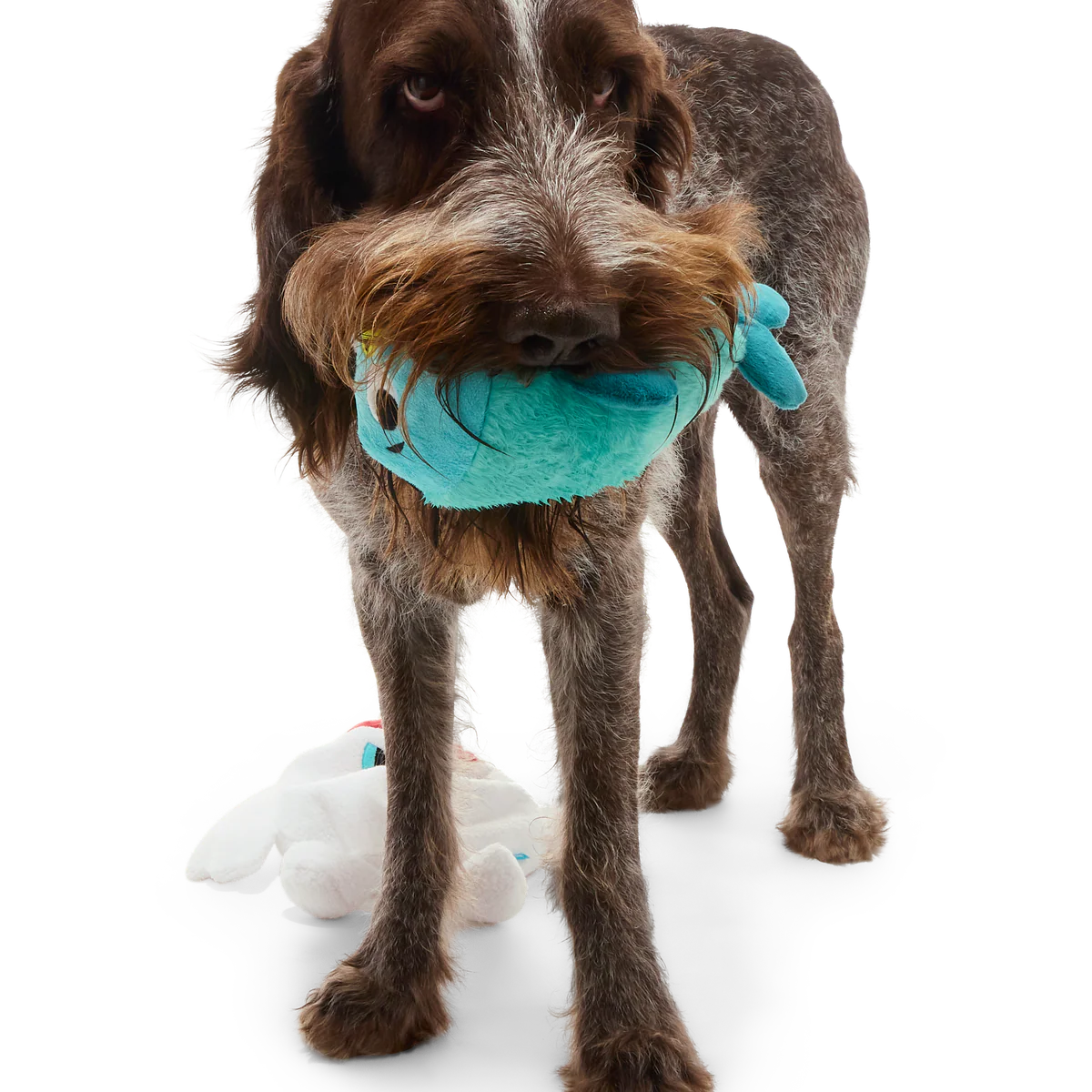 Polar Bear Vortex Plush 2-in-1 Rip and Reveal + Extra-Large Dog Toy - Image 6