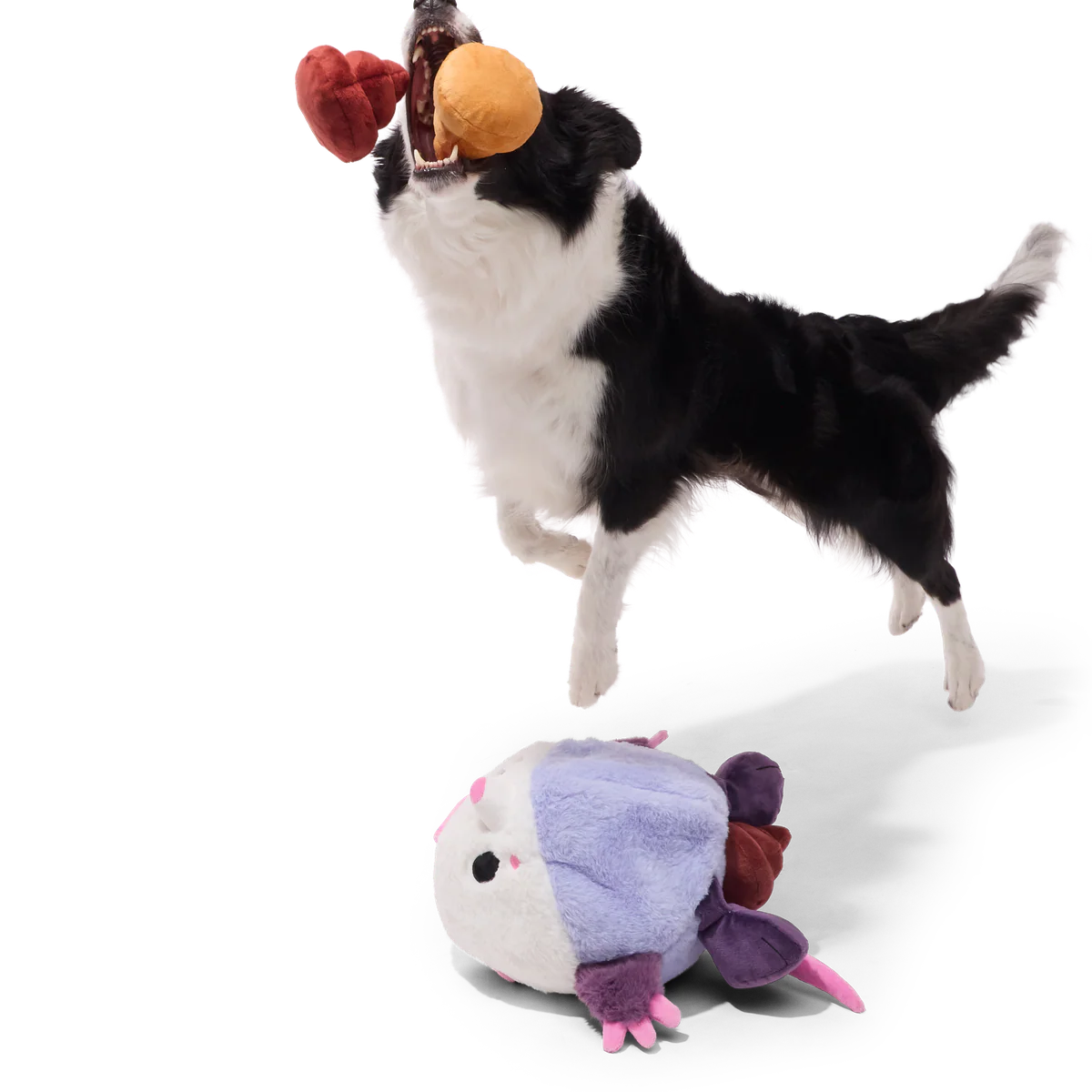 Poopers the Opossum Plush Extra-Large Multi-Part + Enrichment Dog Toy - Image 3