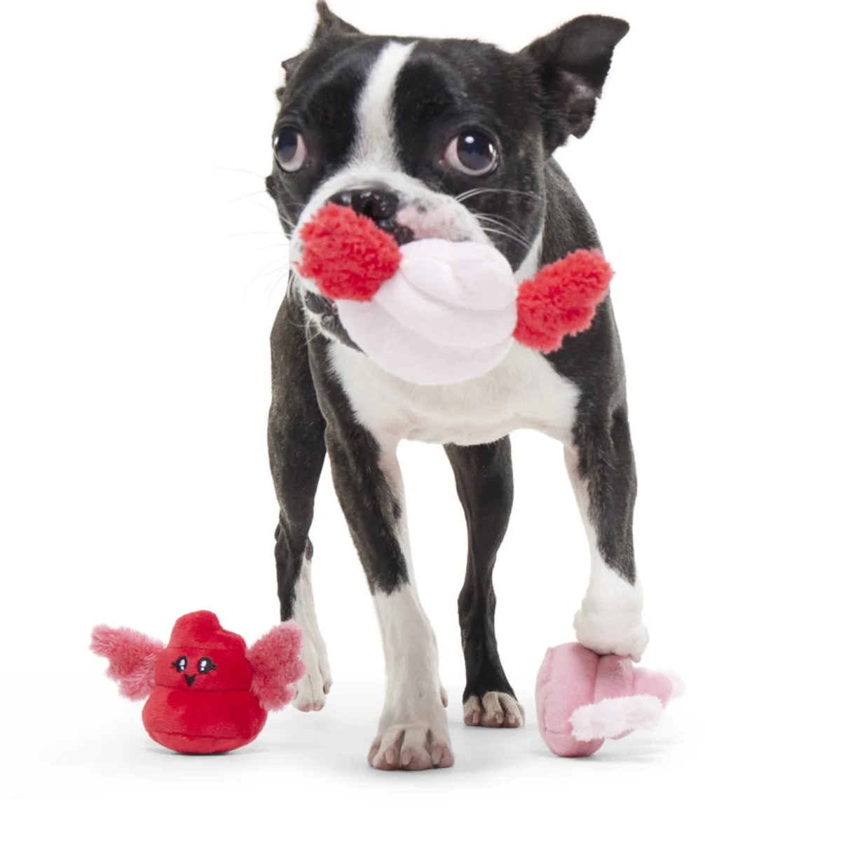 Poopids Plush Multi-Part Dog Toy - Image 2